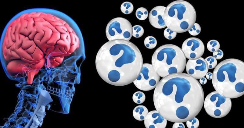 Uutta tietoa mikrobiomi-suoli-aivoakselin merkityksestä Parkinsonin taudissa